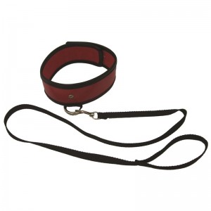 Red Leash & Collar